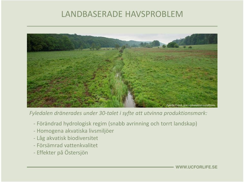 hydrologisk regim (snabb avrinning och torrt landskap) - Homogena akvatiska