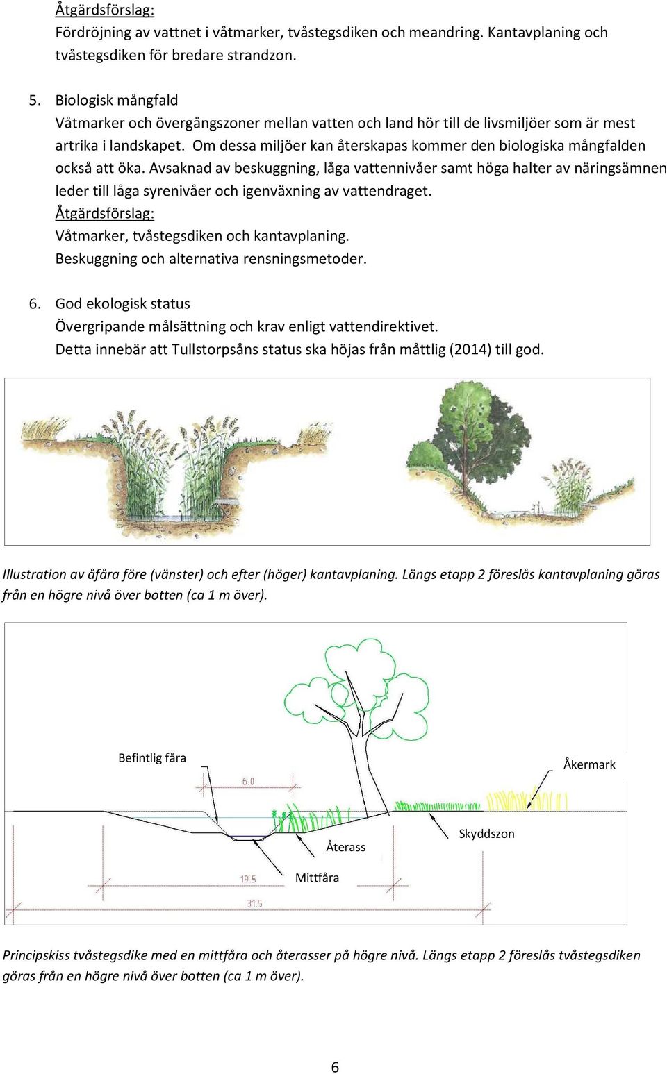 Om dessa miljöer kan återskapas kommer den biologiska mångfalden också att öka.