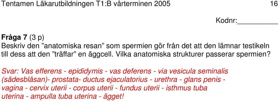 Svar: Vas efferens - epididymis - vas deferens - via vesicula seminalis (sädesblåsan)- prostata- ductus ejaculatorius -