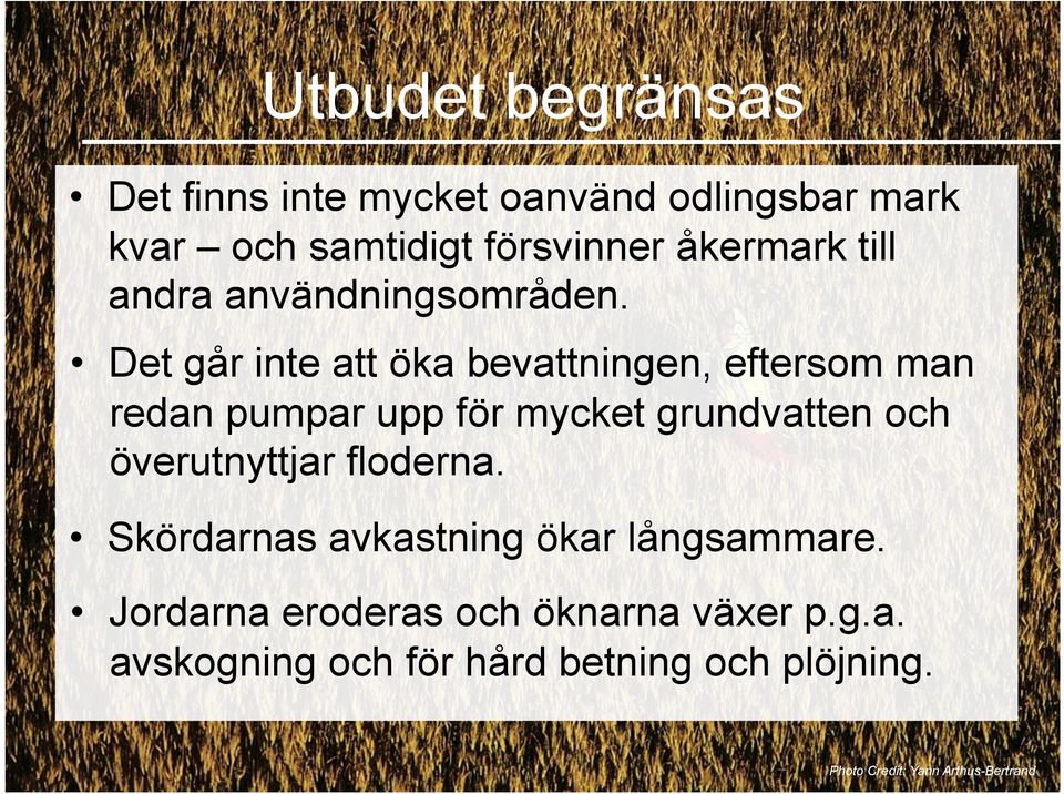 Det går inte att öka bevattningen, eftersom man redan pumpar upp för mycket grundvatten och