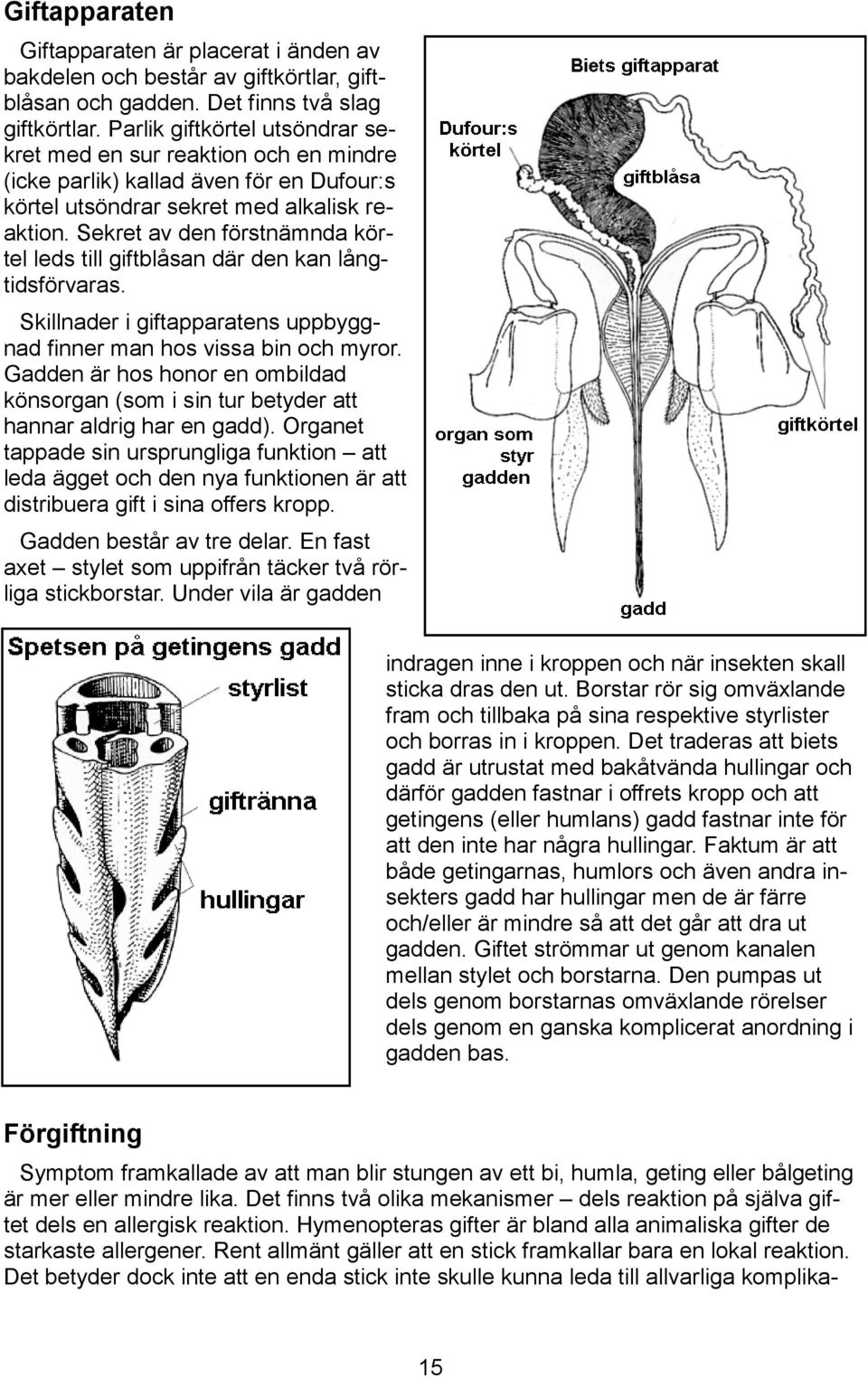 Sekret av den förstnämnda körtel leds till giftblåsan där den kan långtidsförvaras. Skillnader i giftapparatens uppbyggnad finner man hos vissa bin och myror.