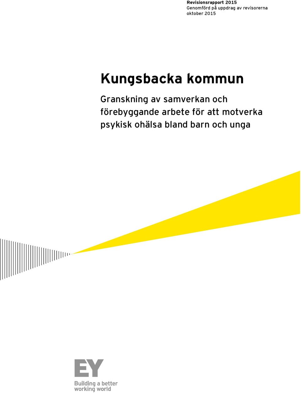 Granskning av samverkan och förebyggande