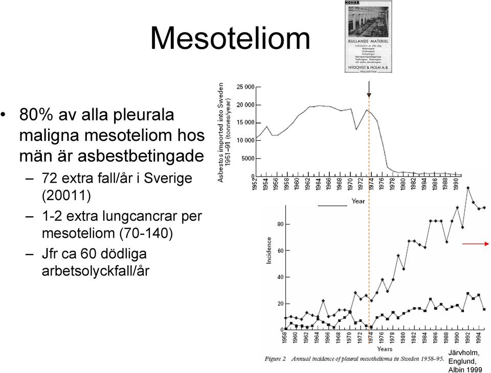 (20011) 1-2 extra lungcancrar per mesoteliom (70-140)