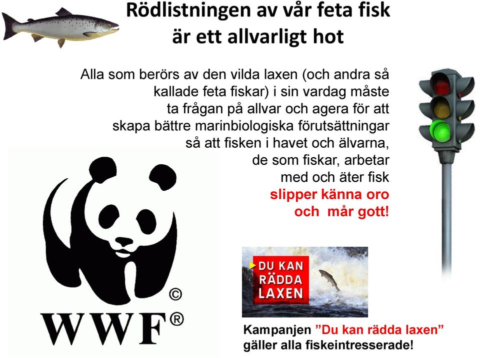 bättre marinbiologiska förutsättningar så att fisken i havet och älvarna, de som fiskar, arbetar