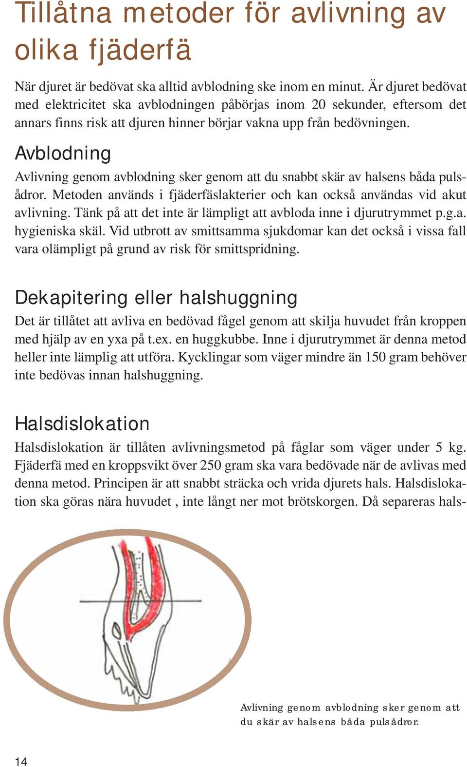 Avblodning Avlivning genom avblodning sker genom att du snabbt skär av halsens båda pulsådror. Metoden används i fjäderfäslakterier och kan också användas vid akut avlivning.