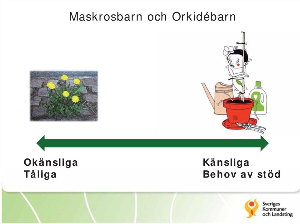 Okänsliga Tåliga