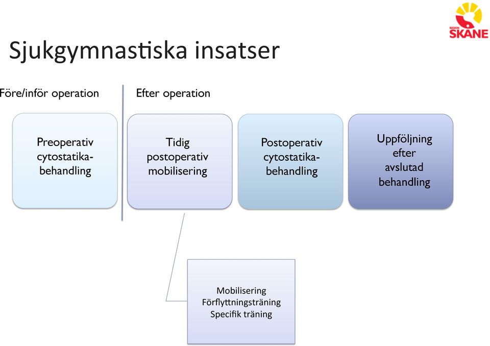 cytostatikabehandling Tidig postoperativ mobilisering