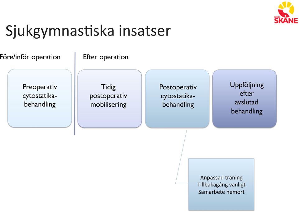 cytostatikabehandling Tidig postoperativ mobilisering