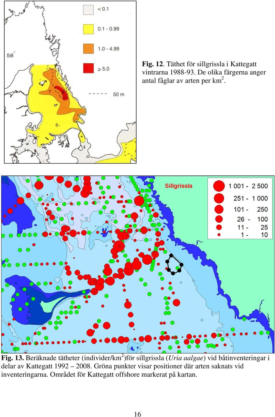 Beräknade tätheter (individer/km 2 )för sillgrissla (Uria aalgae) vid båtinventeringar i