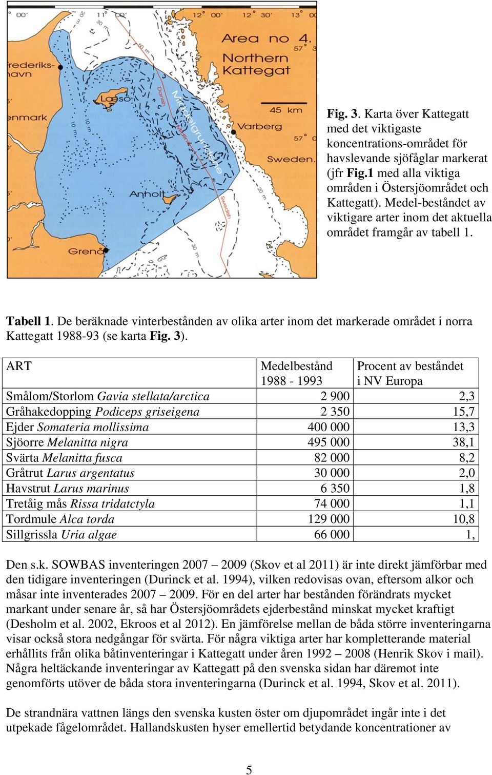 De beräknade vinterbestånden av olika arter inom det markerade området i norra Kattegatt 1988-93 (se karta Fig. 3).