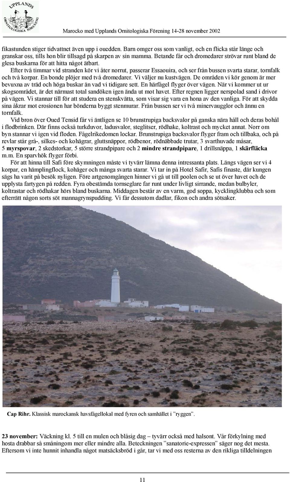 Efter två timmar vid stranden kör vi åter norrut, passerar Essaouira, och ser från bussen svarta starar, tornfalk och två korpar. En bonde plöjer med två dromedarer. Vi väljer nu kustvägen.