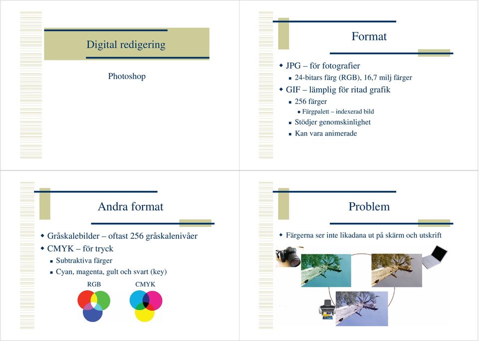 animerade Andra format Problem Gråskalebilder oftast 256 gråskalenivåer CMYK för tryck Subtraktiva