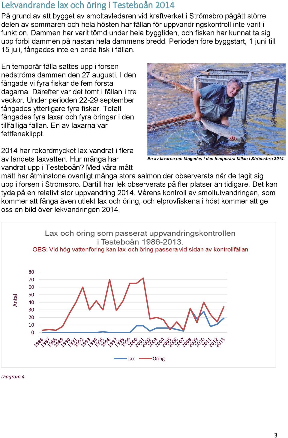 Perioden före byggstart, 1 juni till 15 juli, fångades inte en enda fisk i fällan. En temporär fälla sattes upp i forsen nedströms dammen den 27 augusti.