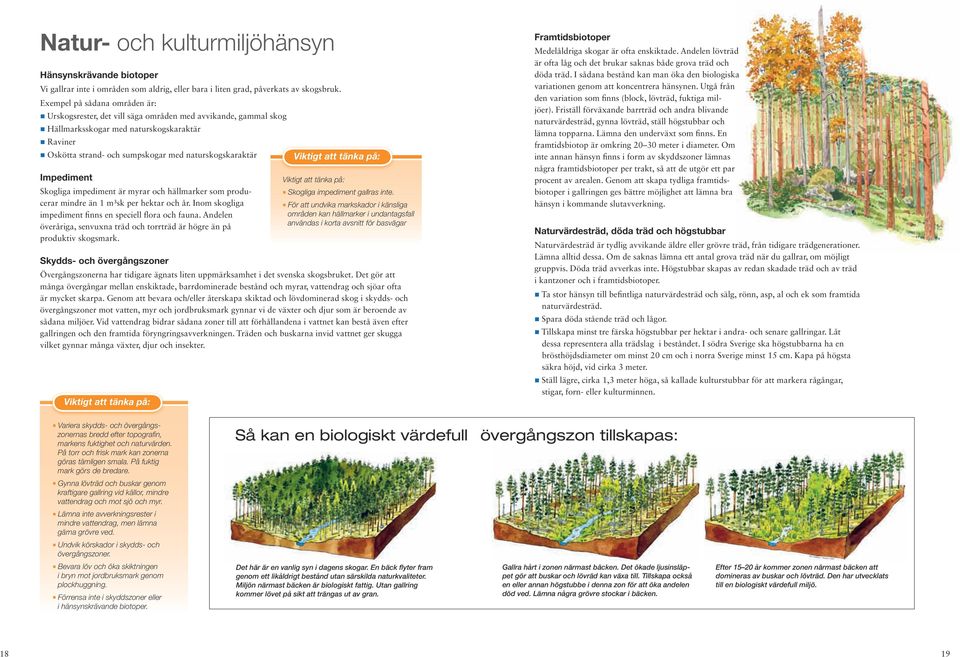 Viktigt att tänka på: Impediment Skogliga impediment är myrar och hällmarker som producerar mindre än 1 m³sk per hektar och år. Inom skogliga impediment finns en speciell flora och fauna.