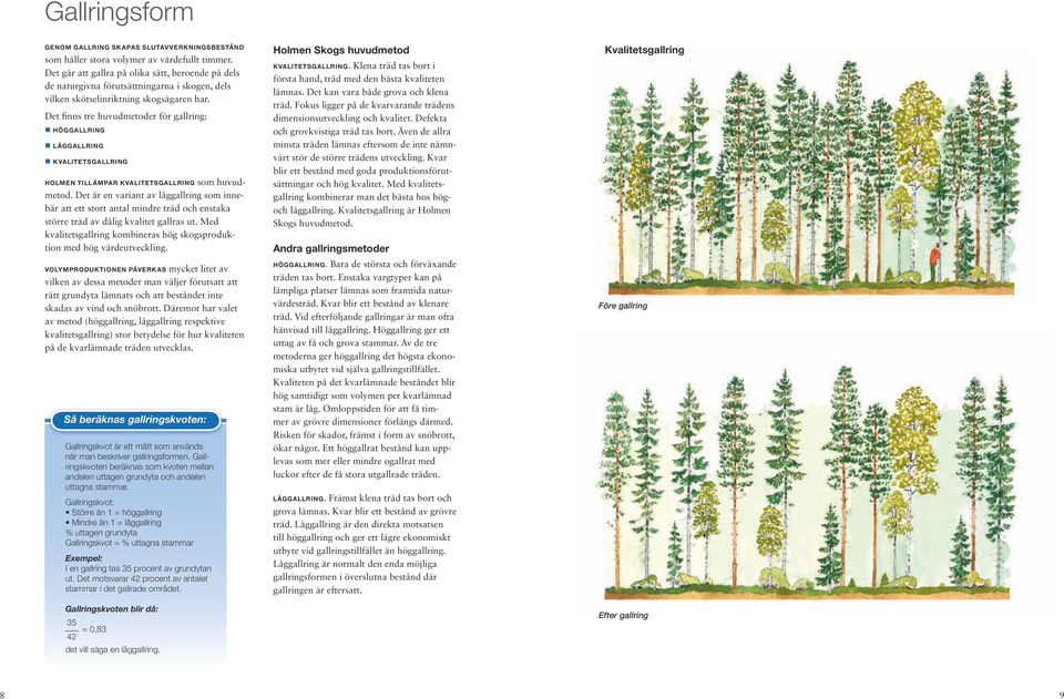 Det finns tre huvudmetoder för gallring: HÖGGALLRING LÅGGALLRING KVALITETSGALLRING Holmen tillämpar kvalitetsgallring som huvudmetod.
