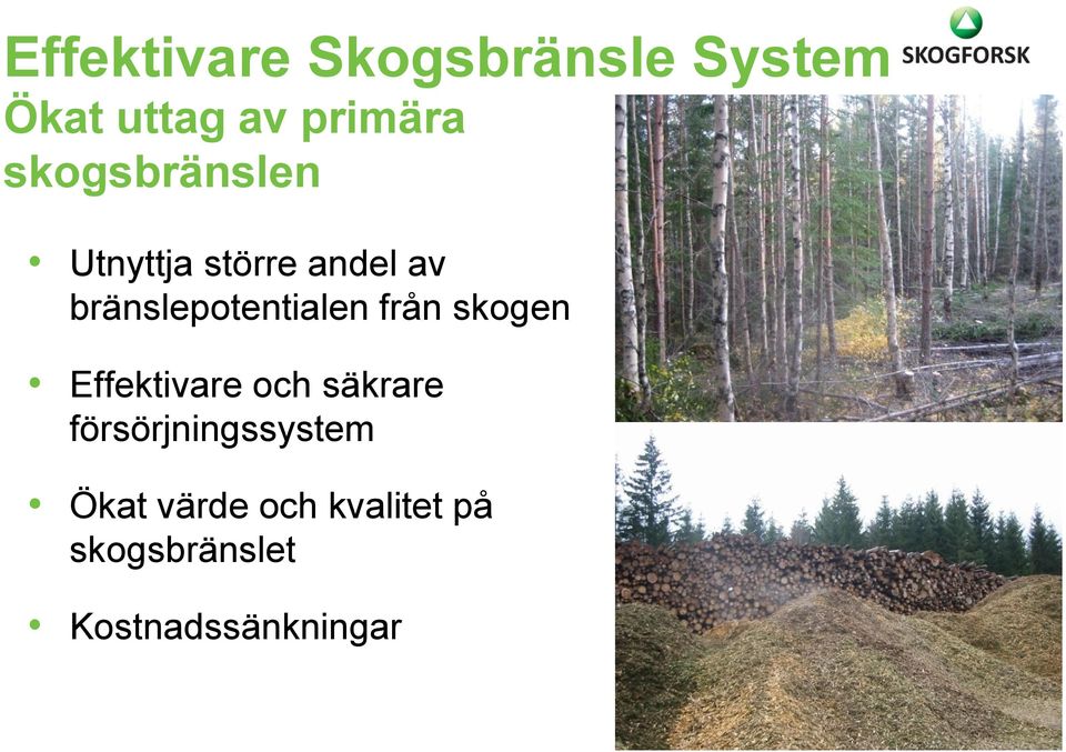 bränslepotentialen från skogen Effektivare och säkrare