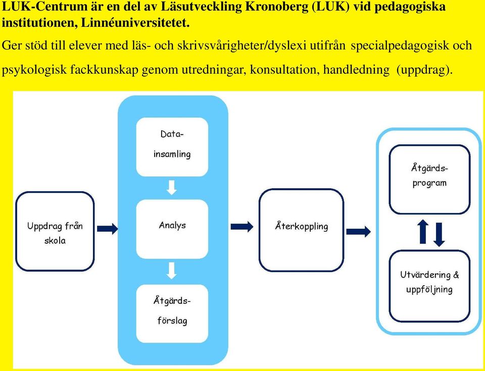 Ger stöd till elever med läs- och skrivsvårigheter/dyslexi utifrån