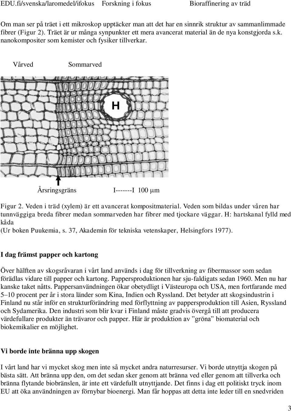 Veden som bildas under våren har tunnväggiga breda fibrer medan sommarveden har fibrer med tjockare väggar. H: hartskanal fylld med kåda (Ur boken Puukemia, s.