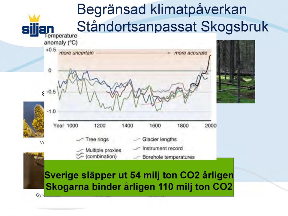 Sverige släpper ut 54 milj ton