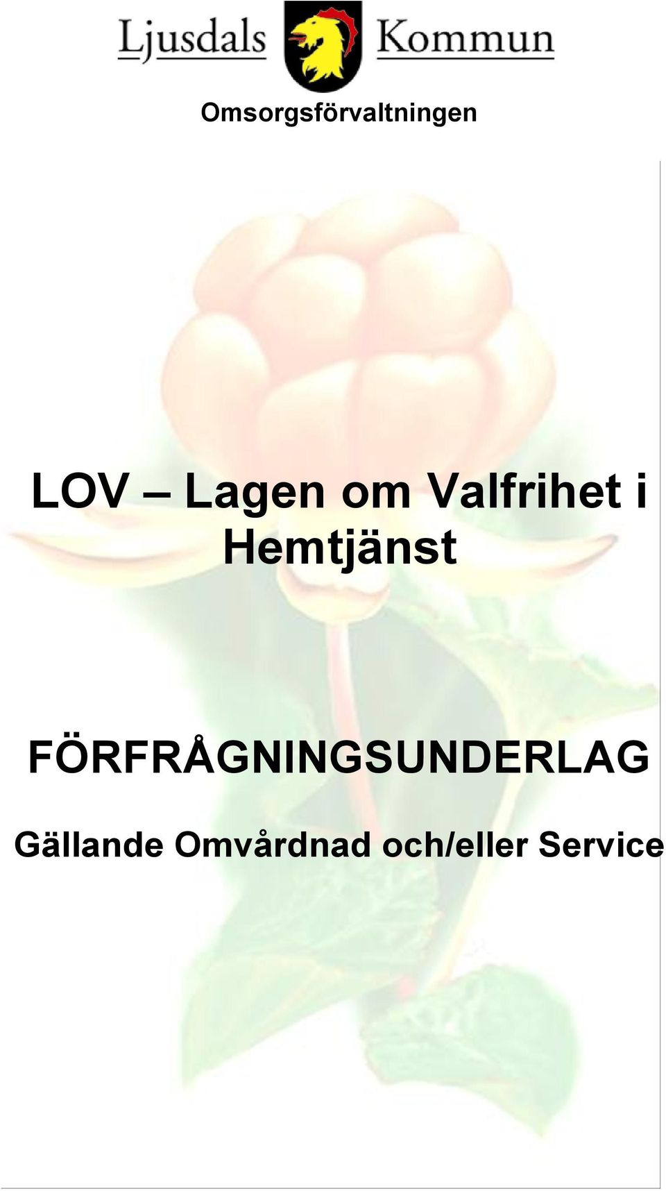 FÖRFRÅGNINGSUNDERLAG