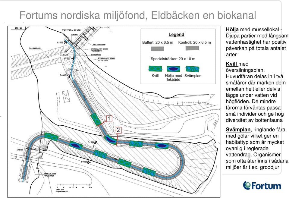 Huvudfåran delas in i två småfåror där marken dem emellan helt eller delvis läggs under vatten vid högflöden.