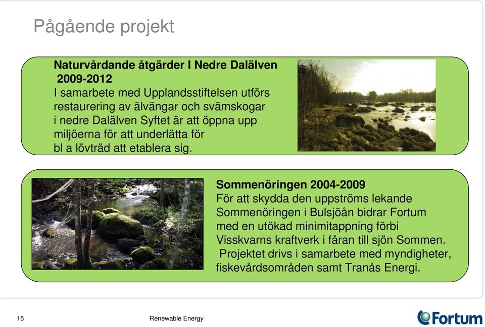 Sommenöringen 2004-2009 För att skydda den uppströms lekande Sommenöringen i Bulsjöån bidrar Fortum med en utökad minimitappning