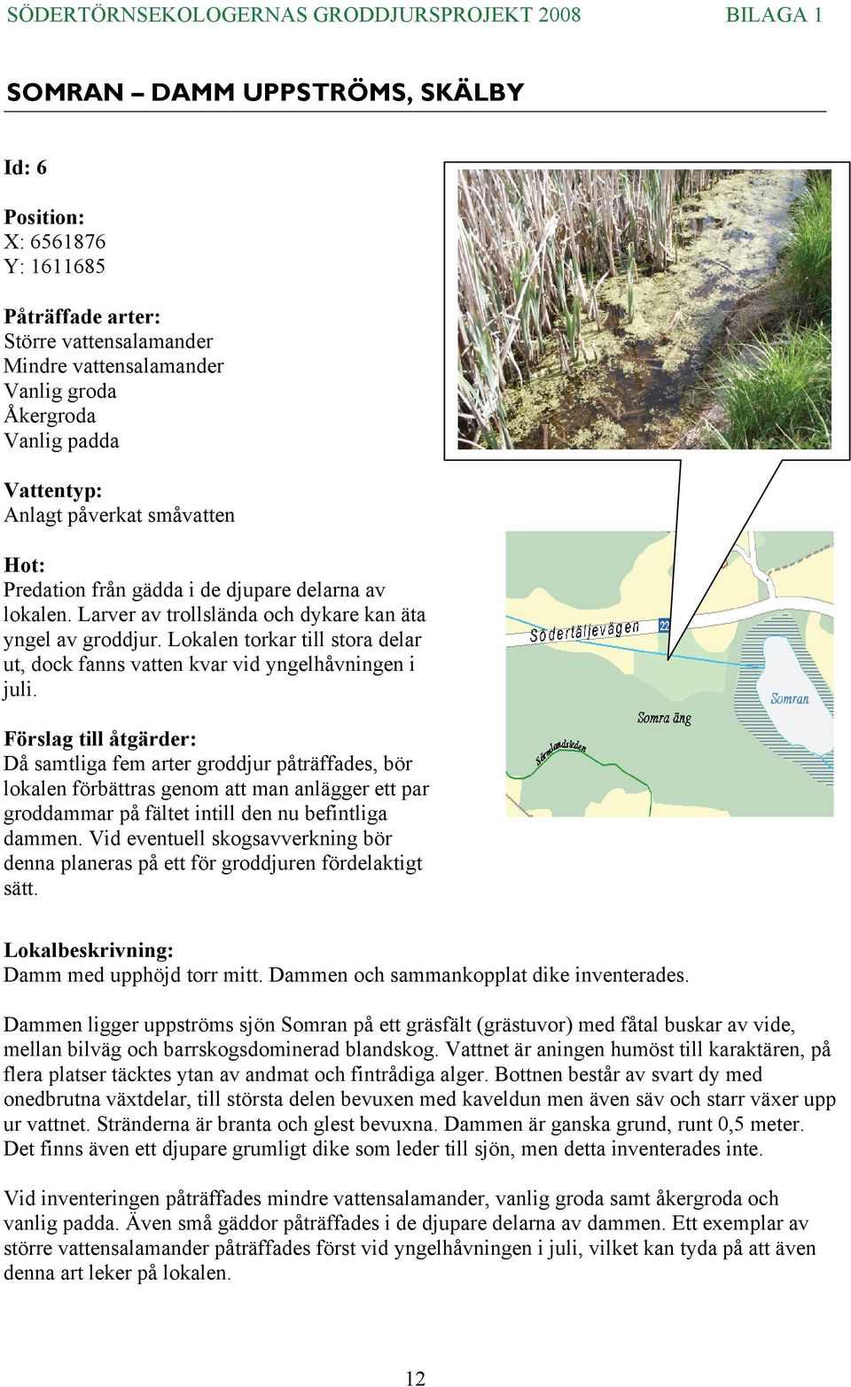 Då samtliga fem arter groddjur påträffades, bör lokalen förbättras genom att man anlägger ett par groddammar på fältet intill den nu befintliga dammen.