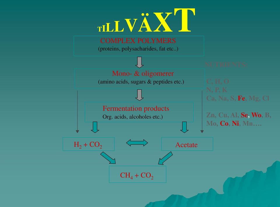 ) Fermentation products Org. acids, alcoholes etc.