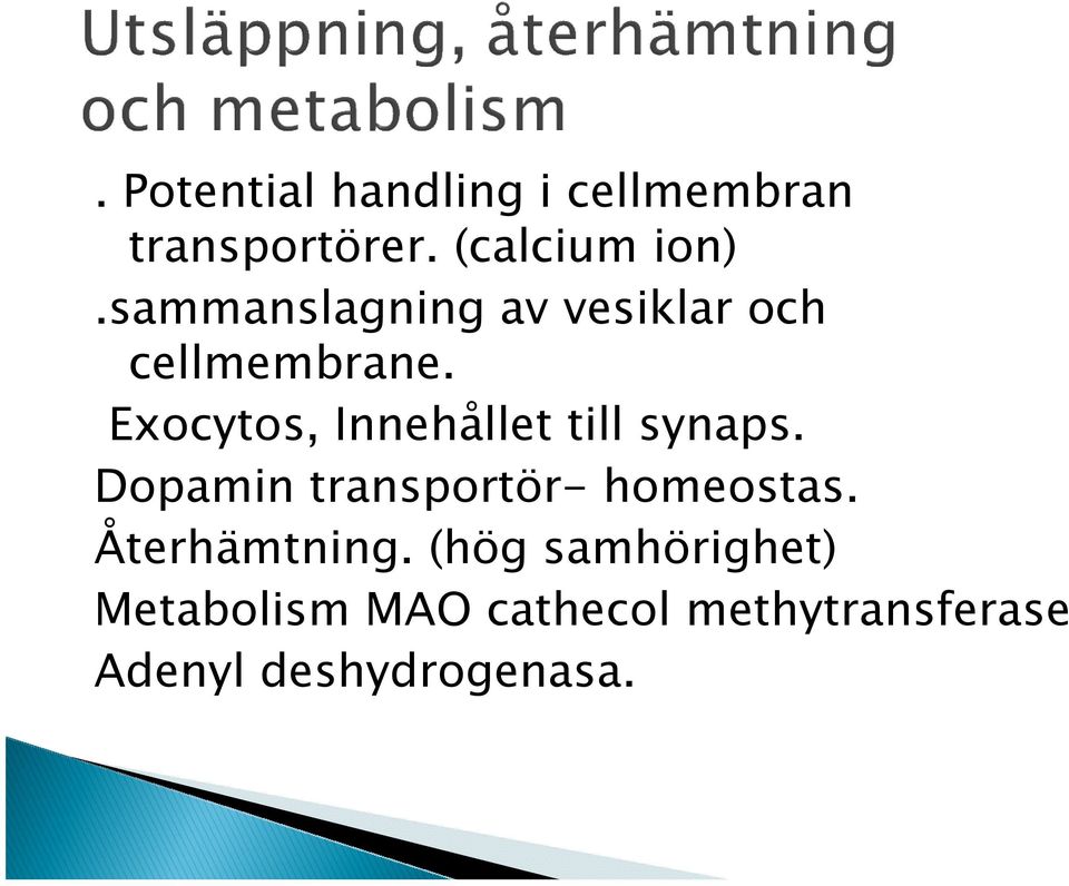 Exocytos, Innehållet till synaps. Dopamin transportör- homeostas.