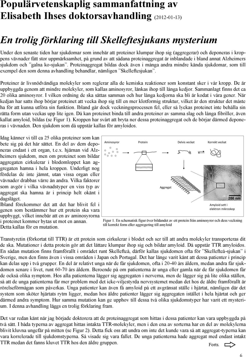 ko-sjukan. Proteinaggregat bildas dock även i många andra mindre kända sjukdomar, som till exempel den som denna avhandling behandlar, nämligen Skelleftesjukan.