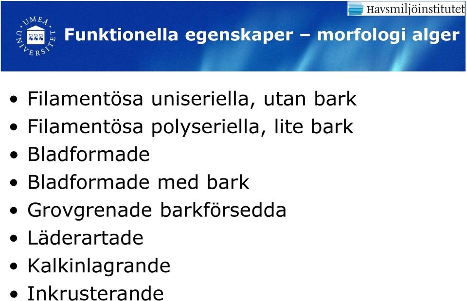 polyseriella, lite bark Bladformade Bladformade med bark