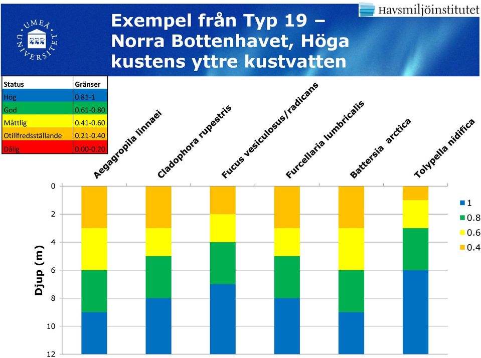 81-1 God 0.61-0.80 Måttlig 0.41-0.