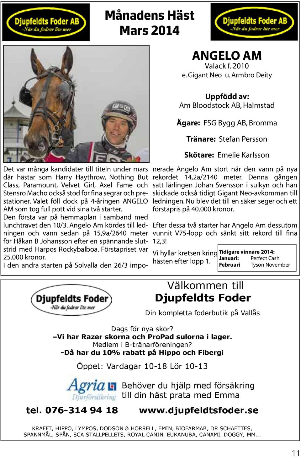 Haythrow, Nothing But Class, Paramount, Velvet Girl, Axel Fame och Stensro Macho också stod för fina segrar och prestationer.