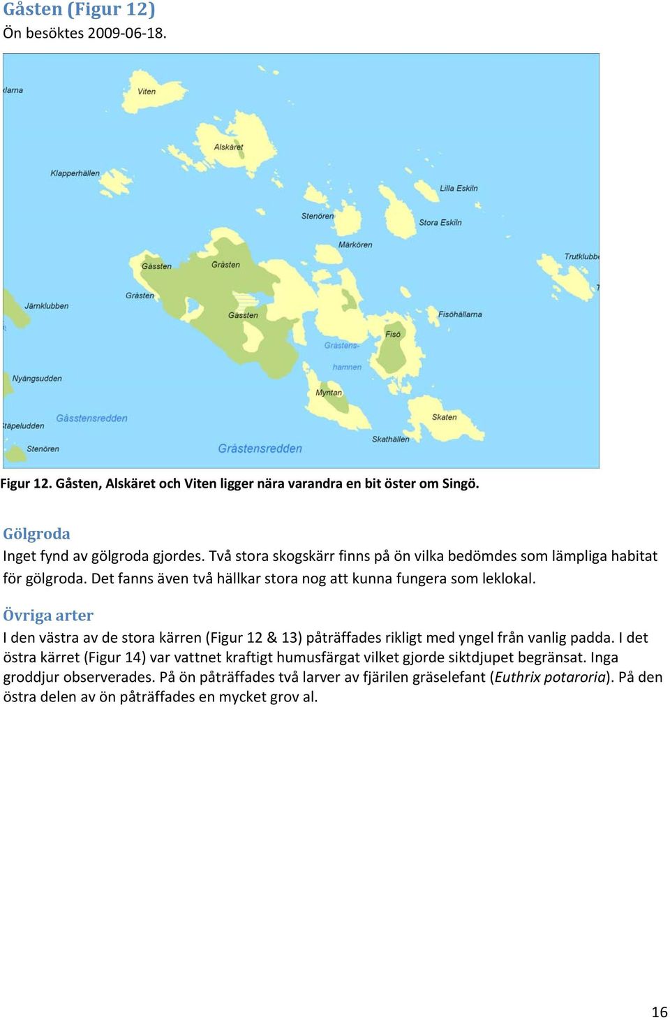 Övriga arter I den västra av de stora kärren (Figur 12 & 13) påträffades rikligt med yngel från vanlig padda.