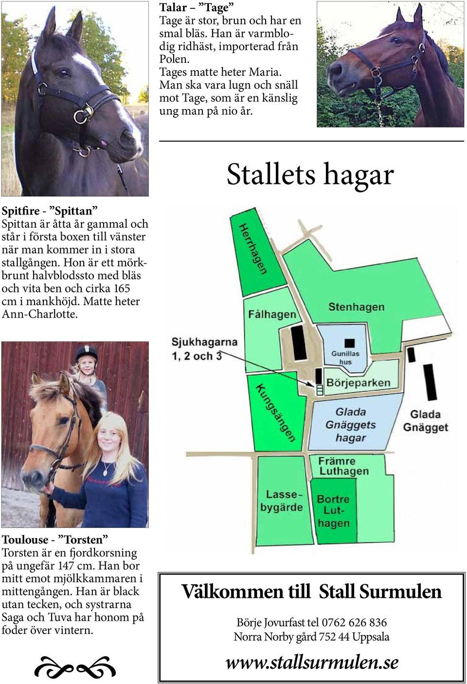 Stallets hagar Spitfire - Spittan Spittan är åtta år gammal och står i första boxen till vänster när man kommer in i stora stallgången.