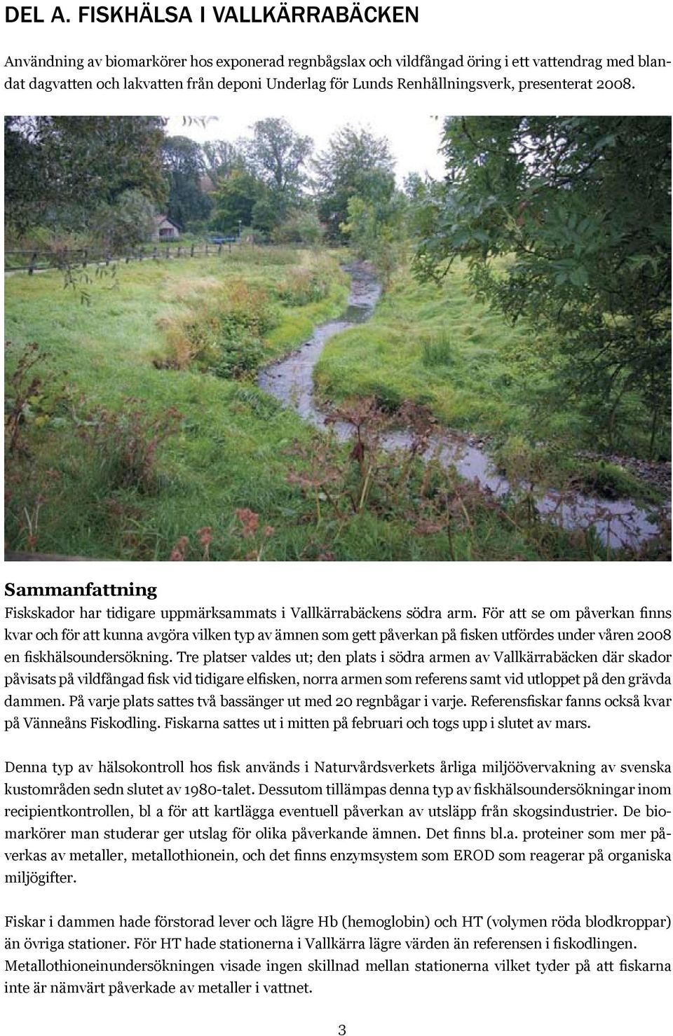 Renhållningsverk, presenterat 2008. Sammanfattning Fiskskador har tidigare uppmärksammats i Vallkärrabäckens södra arm.