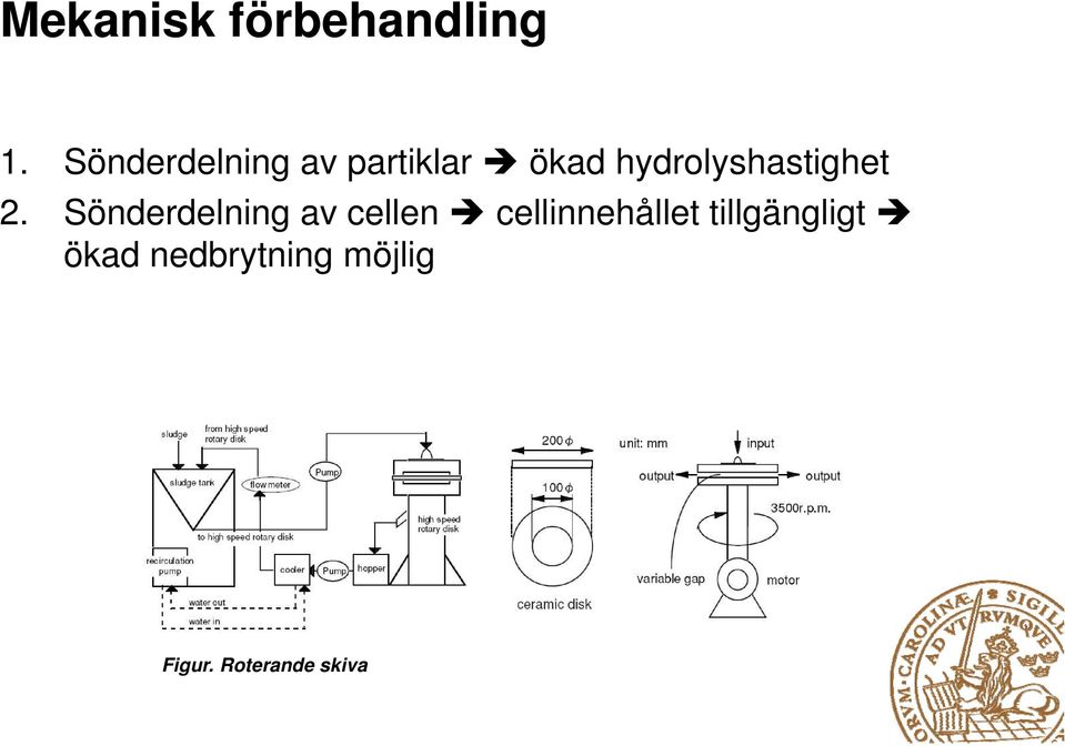 hydrolyshastighet 2.