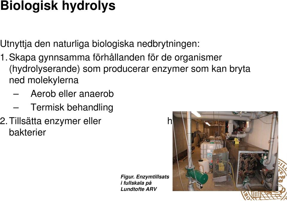 enzymer som kan bryta ned molekylerna Aerob eller anaerob Termisk behandling 2.