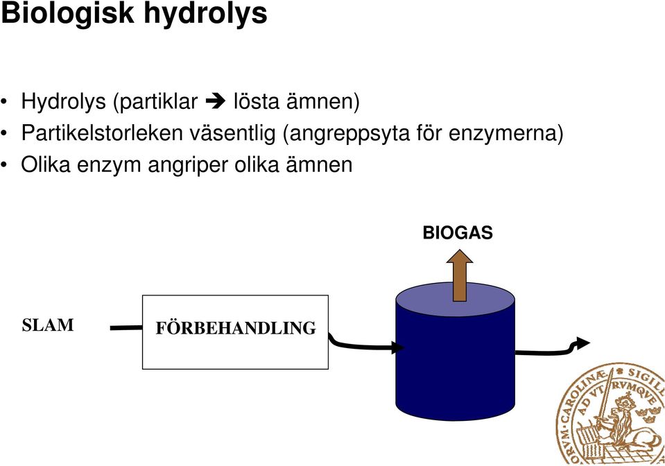 väsentlig (angreppsyta för enzymerna)