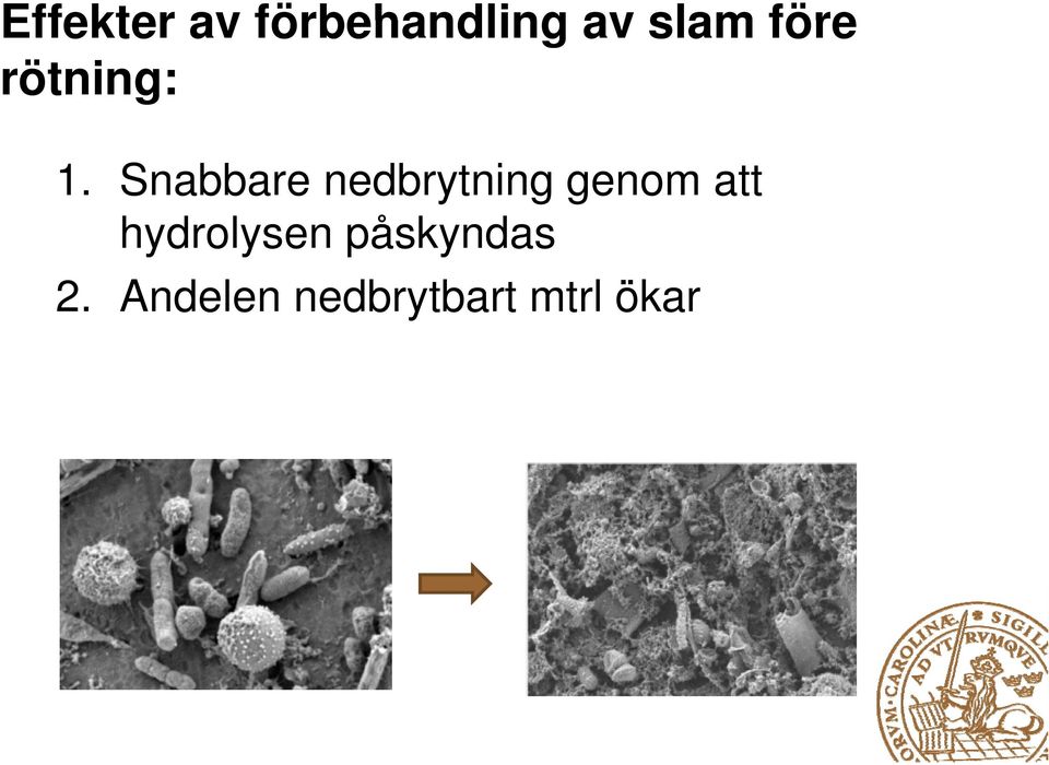 Snabbare nedbrytning genom att