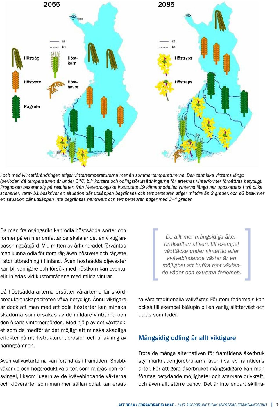 Det är inte enbart skillna- Höstkorn Hösthavre Höstraps Rågvete I och med klimatförändringen stiger vintertemperaturerna mer än sommartemperaturerna.