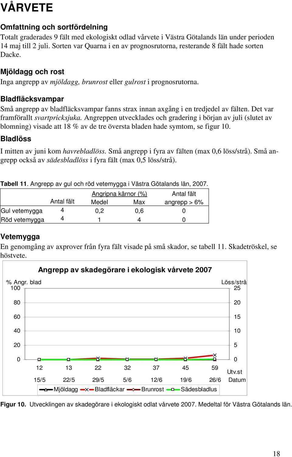 Bladfläcksvampar Små angrepp av bladfläcksvampar fanns strax innan axgång i en tredjedel av fälten. Det var framförallt svartpricksjuka.