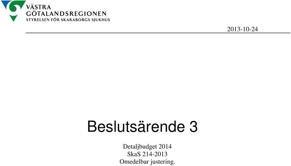 Detaljbudget 2014
