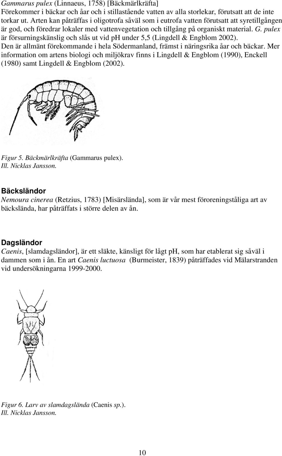 pulex är försurningskänslig och slås ut vid ph under 5,5 (Lingdell & Engblom 2002). Den är allmänt förekommande i hela Södermanland, främst i näringsrika åar och bäckar.