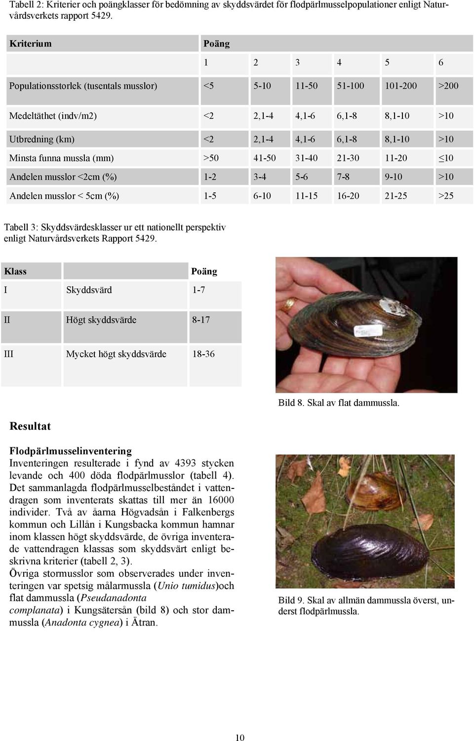 >10 Minsta funna mussla (mm) >50 41-50 31-40 21-30 11-20 10 Andelen musslor <2cm (%) 1-2 3-4 5-6 7-8 9-10 >10 Andelen musslor < 5cm (%) 1-5 6-10 11-15 16-20 21-25 >25 Tabell 3: Skyddsvärdesklasser ur