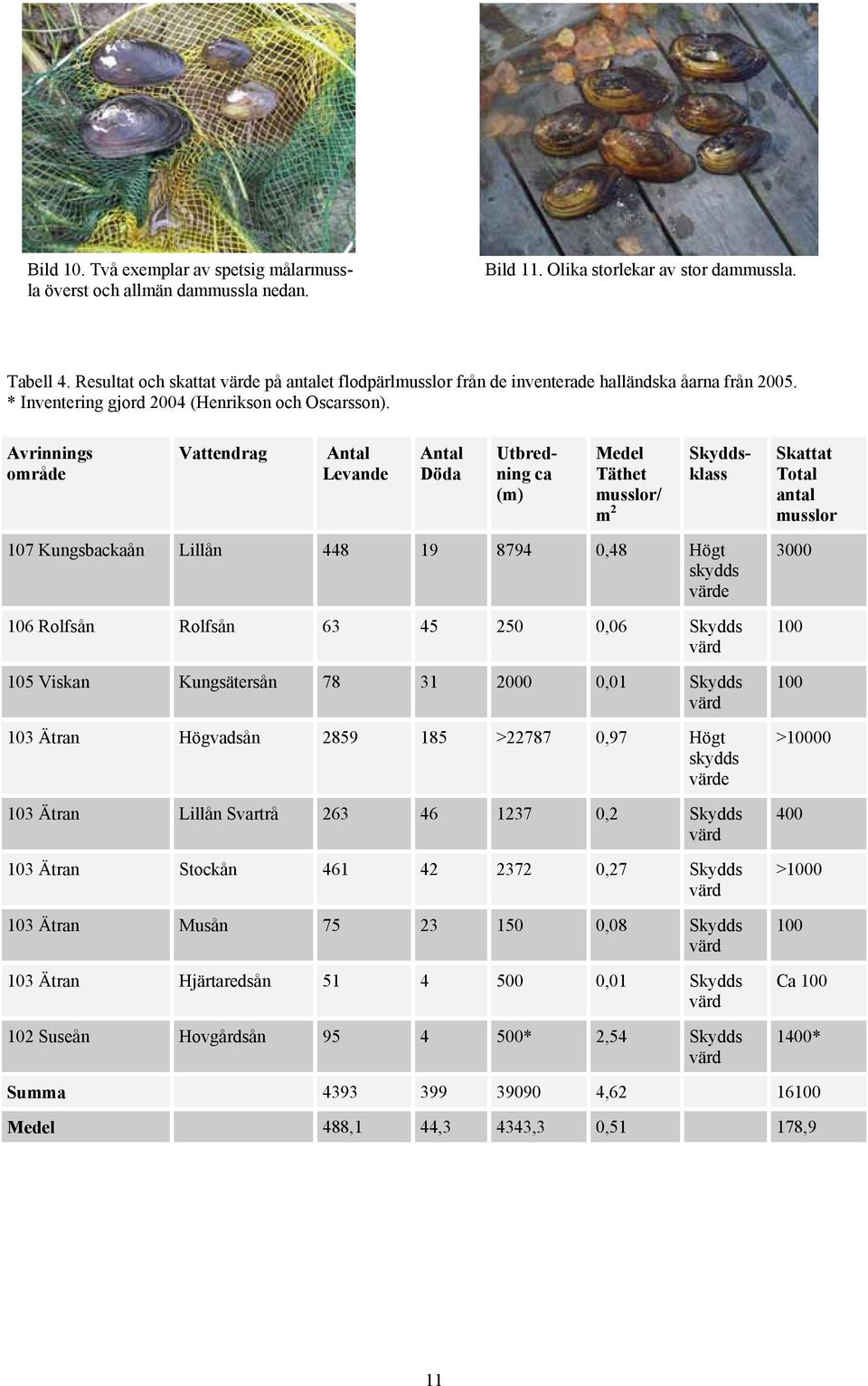 Avrinnings område Vattendrag Antal Levande Antal Döda Utbredning ca (m) Medel Täthet musslor/ m 2 Skyddsklass Skattat Total antal musslor 107 Kungsbackaån Lillån 448 19 8794 0,48 Högt skydds värde