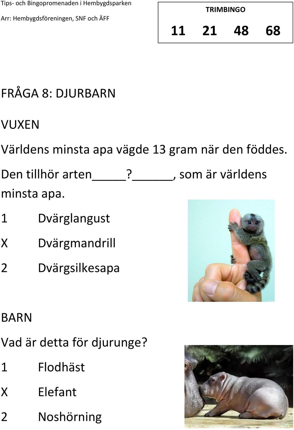 , som är världens minsta apa.