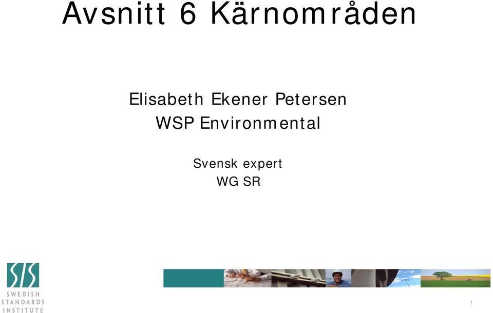 Petersen WSP