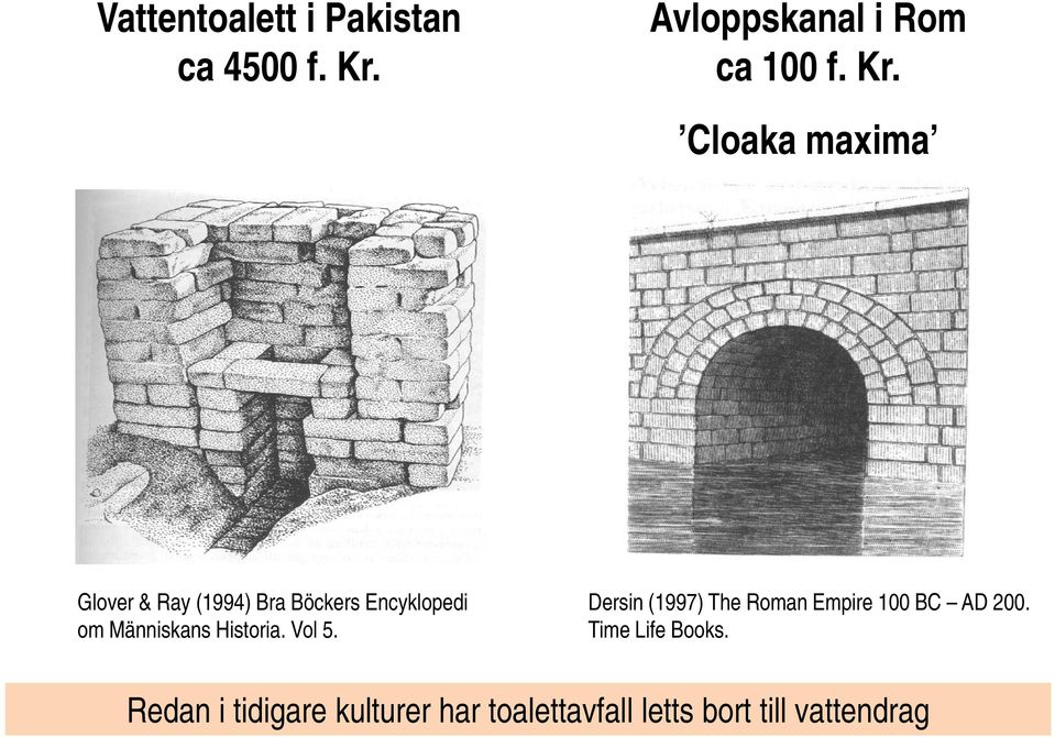 Cloaka maxima Glover & Ray (1994) Bra Böckers Encyklopedi om Människans