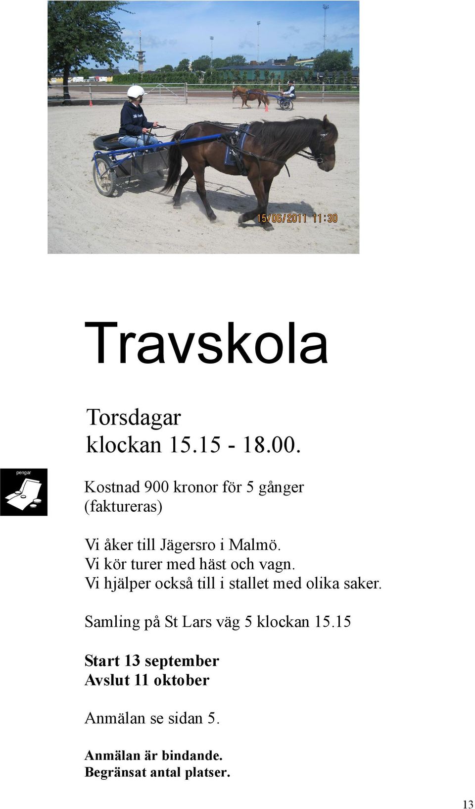 Vi kör turer med häst och vagn. Vi hjälper också till i stallet med olika saker.